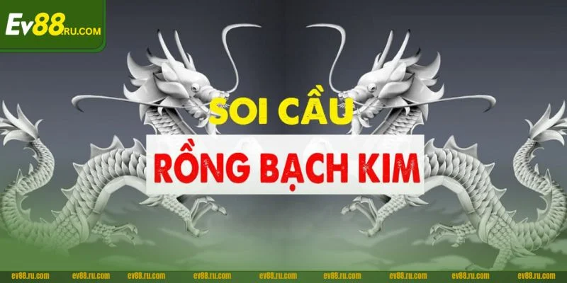 Cầu Rồng Bạch Kim Là Gì? 5+ Kinh Nghiệm Bắt Cầu Xanh Chín 4 Cầu Rồng bạch kim có nhiều phương pháp soi khôn ngoan.