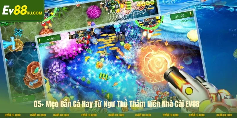 05+ Mẹo Bắn Cá Hay Từ Ngư Thủ Thâm Niên Nhà Cái EV88